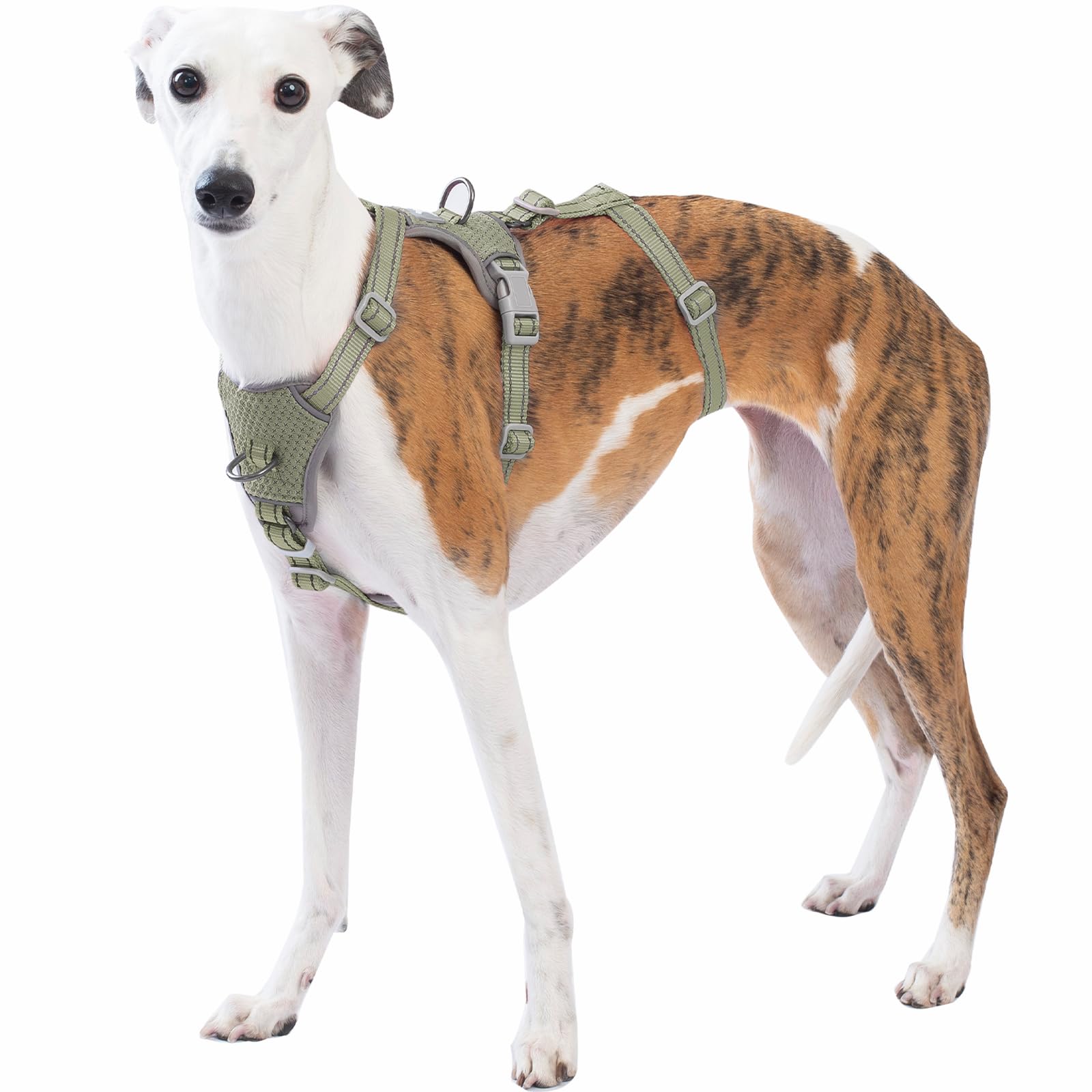 Huntboo Arnes Antiescape Perro Pequeño Mediano Grande, Arnés Antitirones para Perros, Reflectante, Duradero, Chaleco Ajustable y Transpirable para Paseos y Entrenamientos (Verde Militar,M)