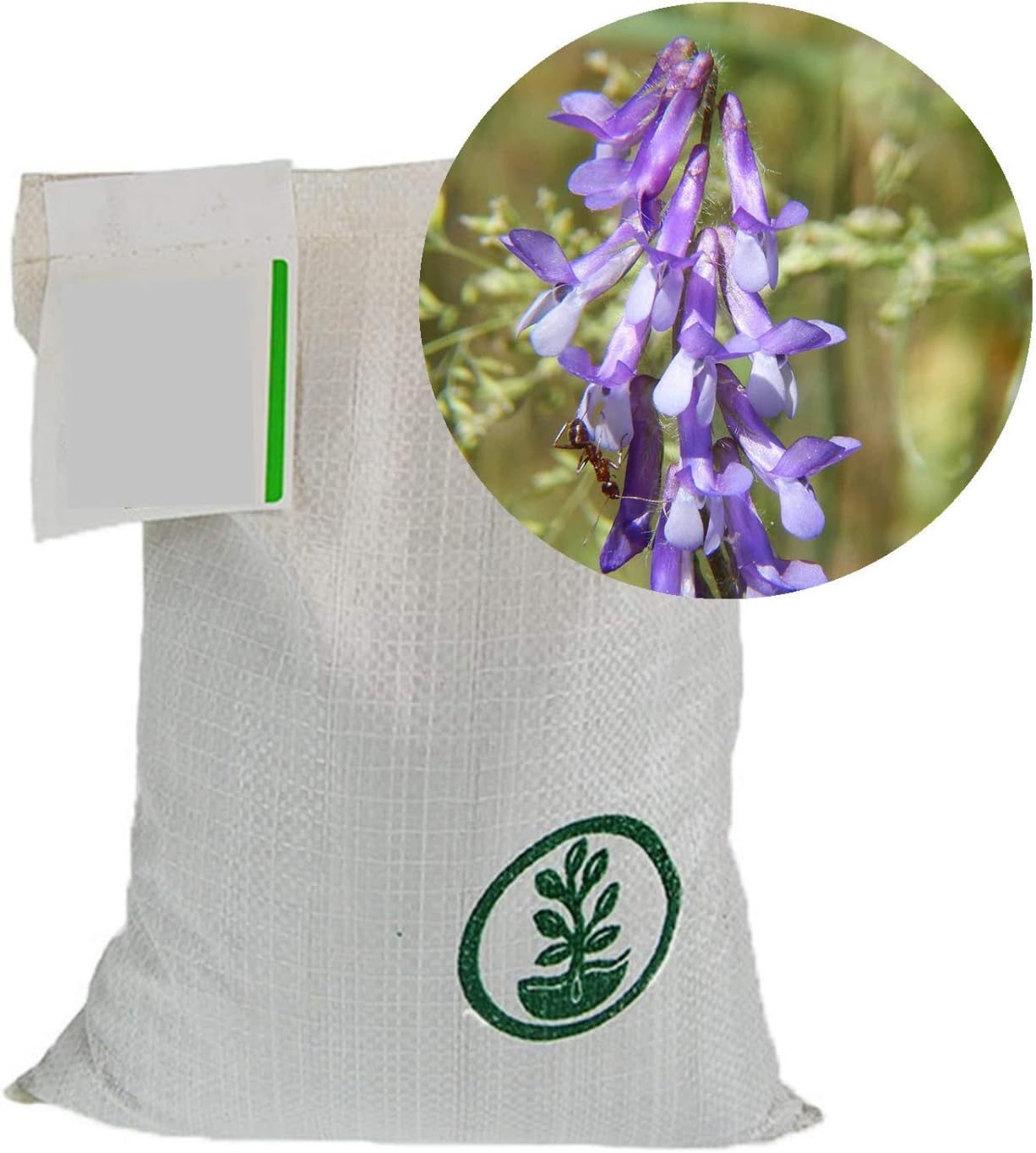 Hairy Vetch Winter Cover Crop Seeds - 25 Lbs Bulk - Field & Pasture Legume Cover Crop Seed