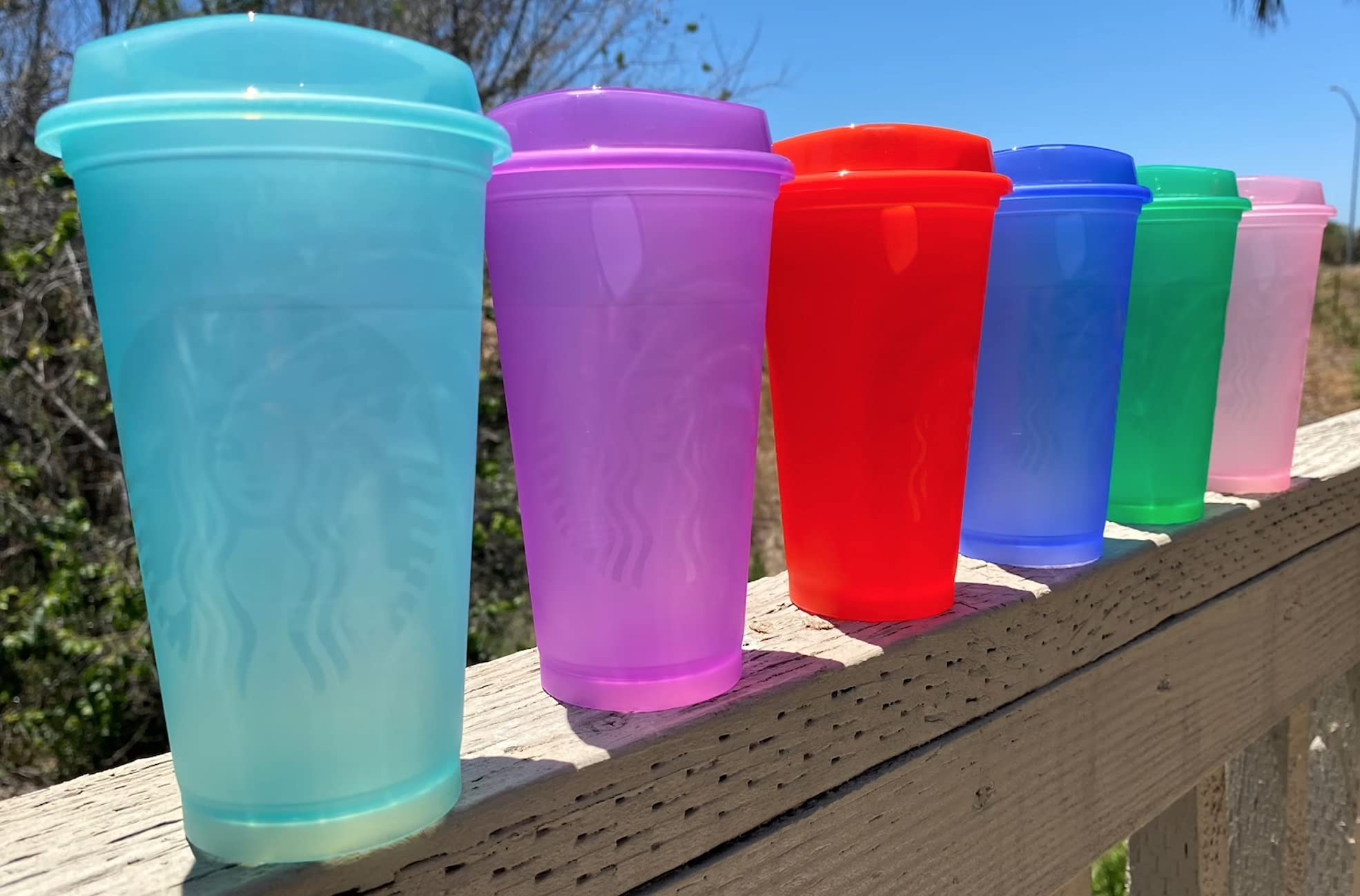 スターバックス　REUSABLE　HOT　CUPS Starbucks Set of 5 16oz Reusable Hot Cups with Lid : Amazon