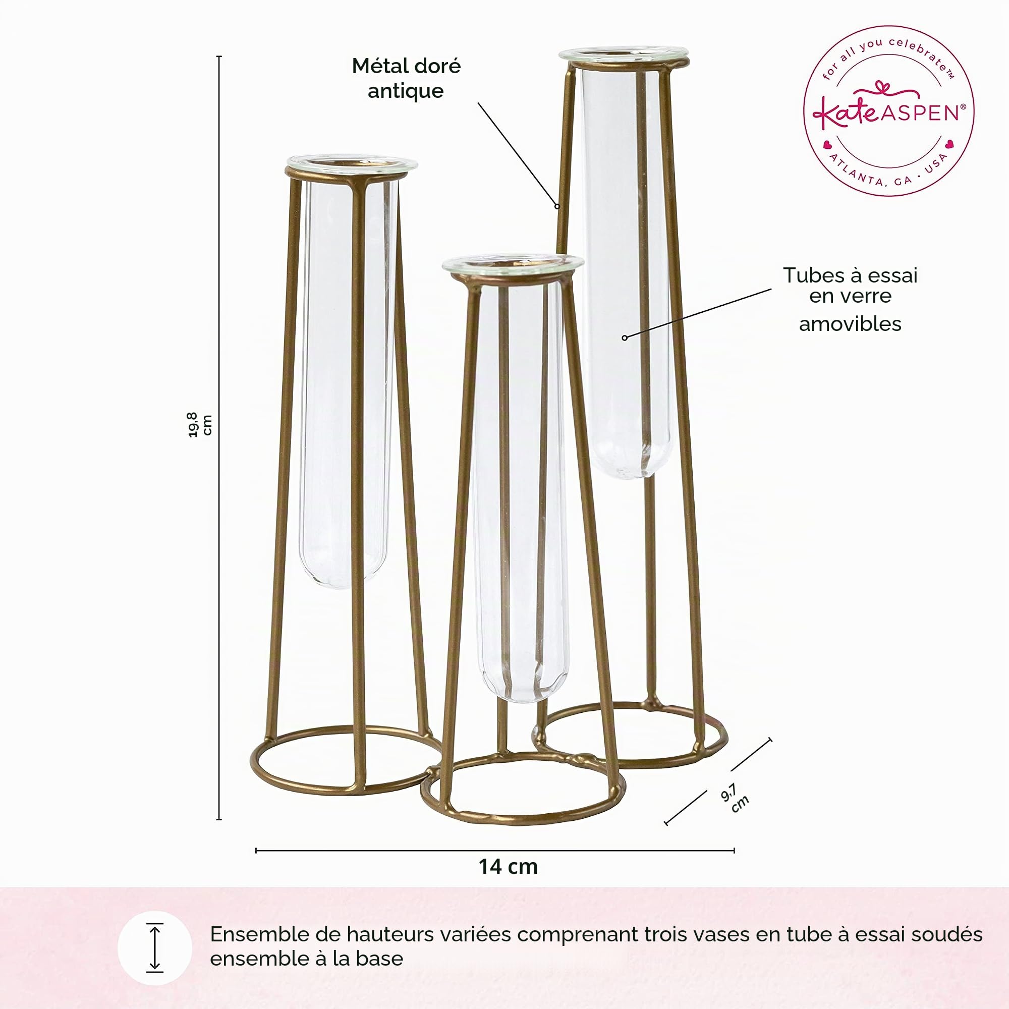 Kate Aspen Station de Propagation terrariums avec Support en métal doré – 3 Tubes à essai en Verre pour Plantes d'intérieur