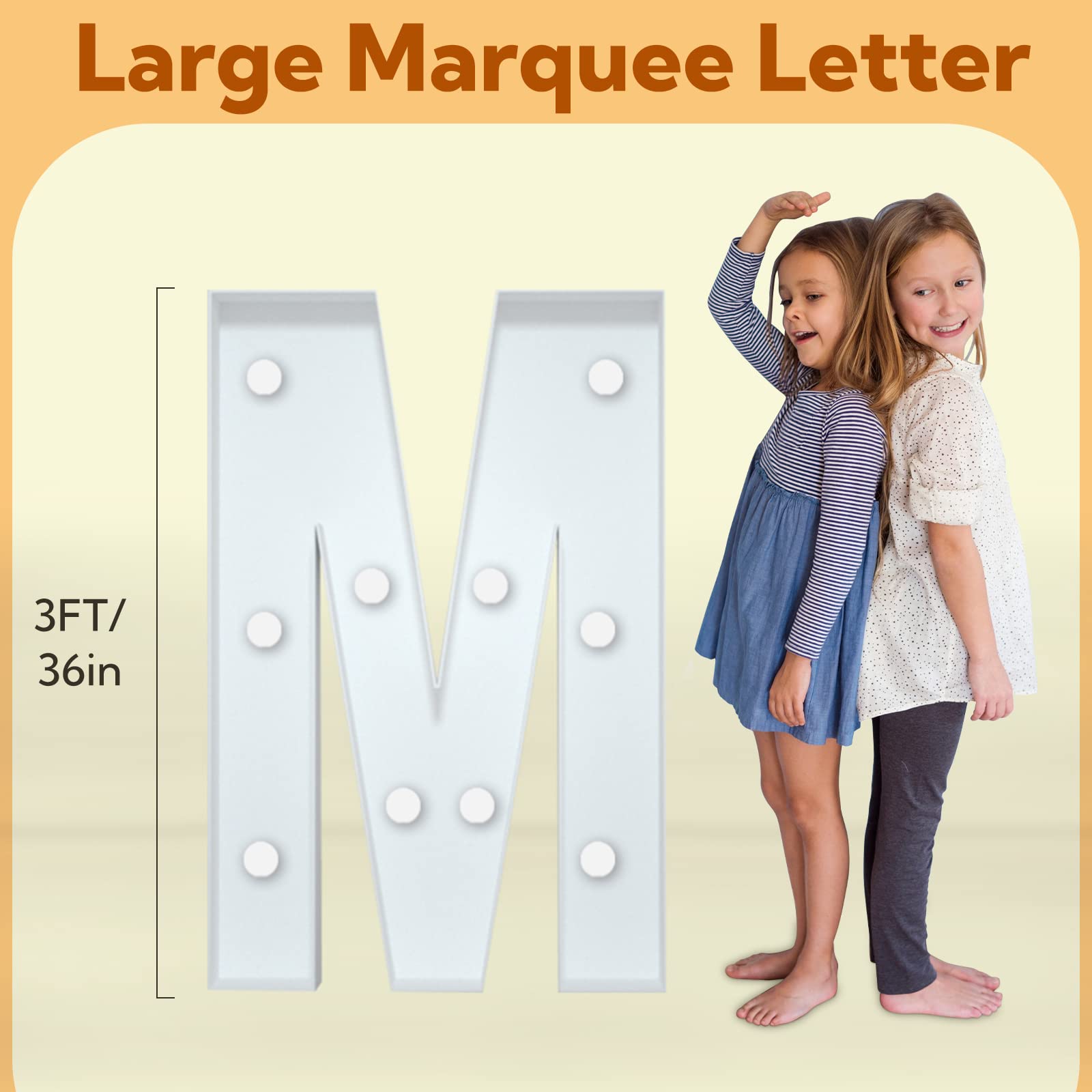 https://m.media-amazon.com/images/I/719DWMZy0pL.jpg