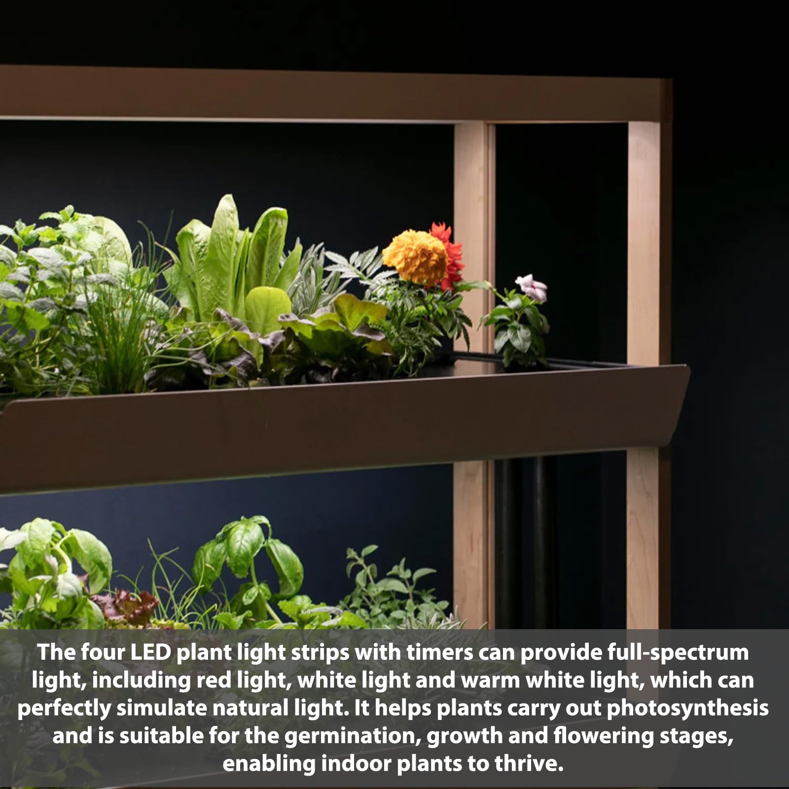 Lámpara LED de espectro completo para plantas (4 unidades, luz LED para plantas con temporizador, lámpara LED para plantas de interior, lámpara UV de crecimiento para plantas con 3 modos de