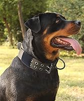 Vista 2 de Collar de perro para perros grandes, collares tácticos de 2 pulgadas de ancho con asa para perros de raza extragrande, camuflaje militar