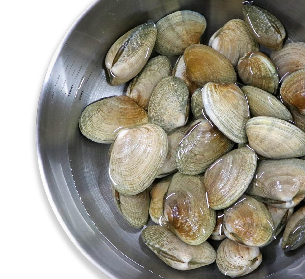 あさり Amazon.co.jp: 【北海道厚岸産 殻付き 活あさり 大中混合 1kg 砂抜き