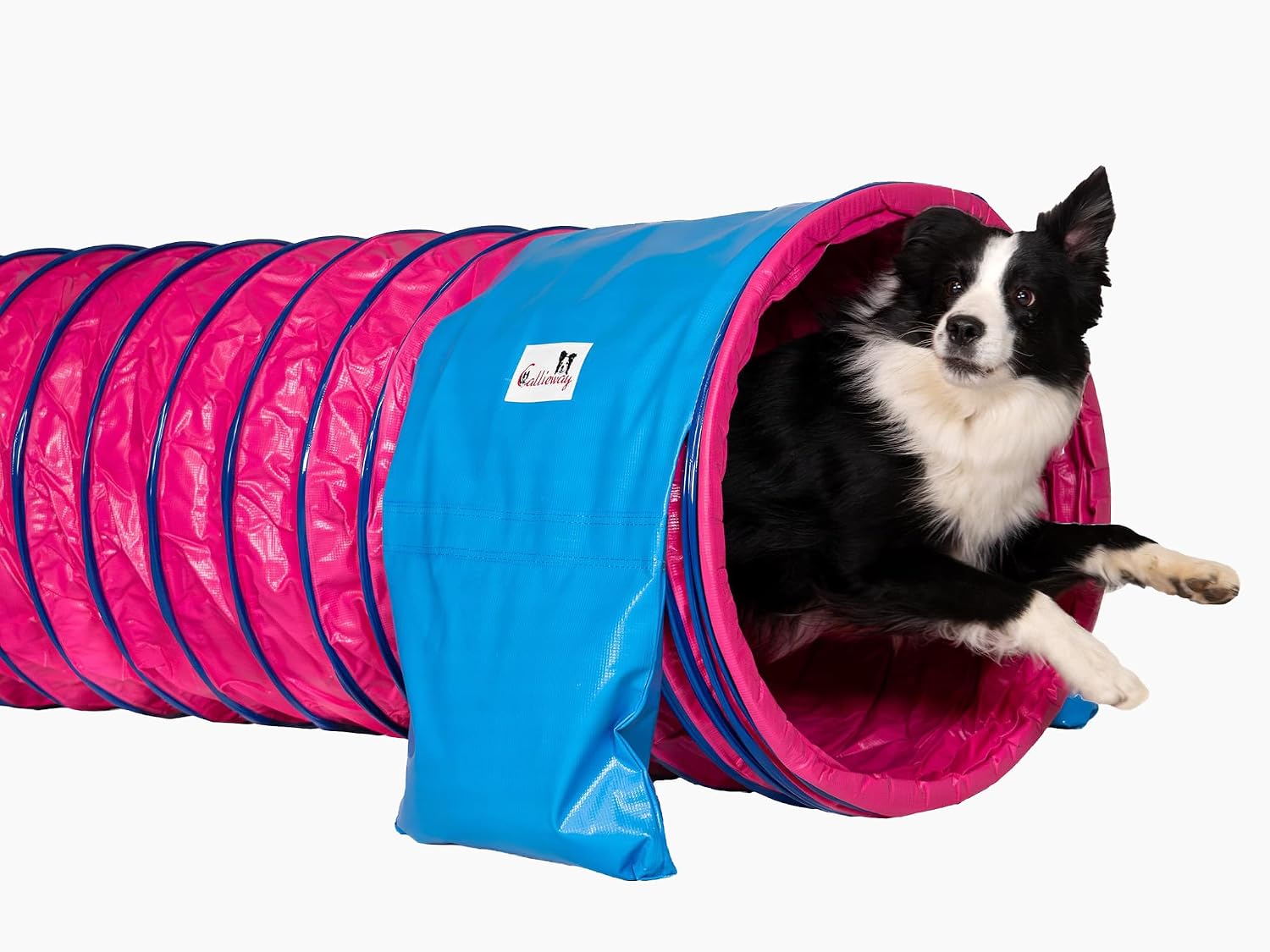 Callieway® Dog Agility tunel profesjonalny / psy tunel 5 m długości / 60 cm Ø Agility urządzenie (5 m, fuksja)
