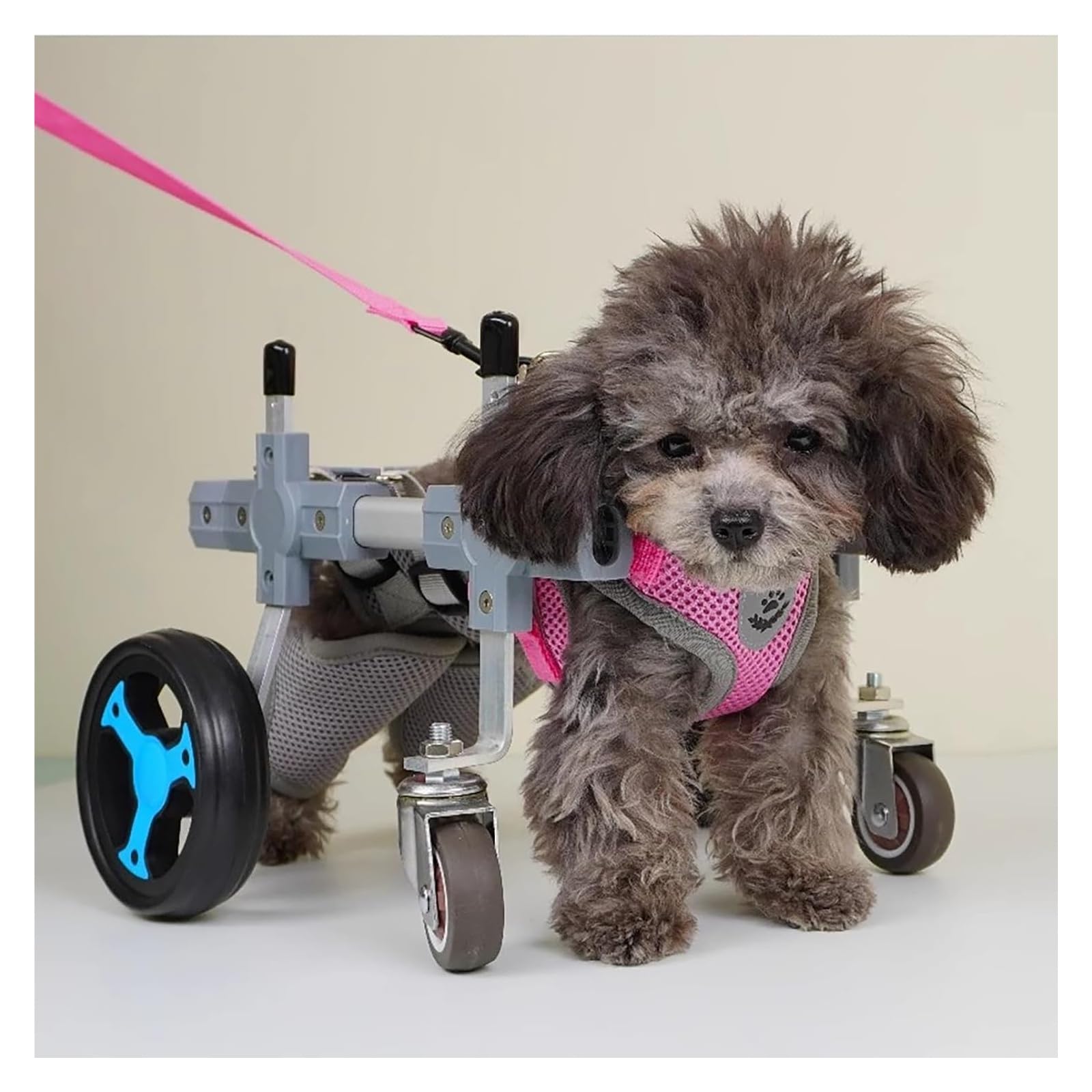Sedia a rotelle per cani, Carrello Cani Disabili, Attrezzatura for la riabilitazione di animali domestici a 4 ruote for la deambulazione delle zampe posteriori disabili, dispositivo for la deambulazio
