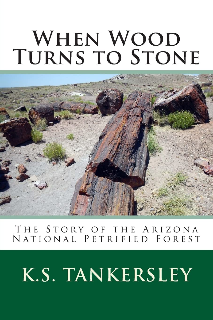 When Wood Turns to Stone: The Story of the Arizona National Petrified Forest: 4 (Exploring Nature Series)