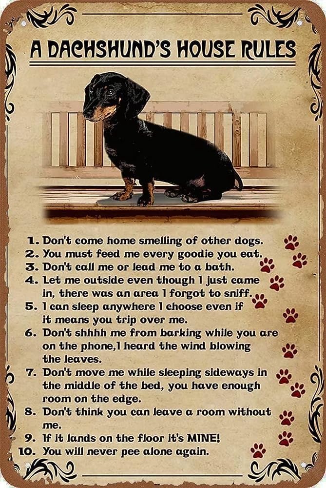 Yunking A30 Funny Tin Metal Signs Dachshund's House Rules Vintage Sign Retro Tin Signs Vintage Metal Tin Sign For Bar Home Wall Metal Decoration 8×12Inches