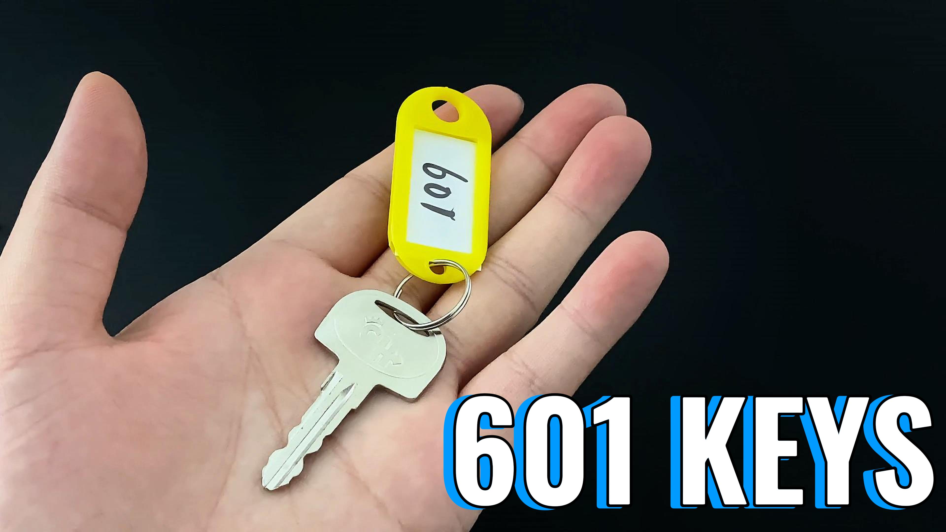 Amazon.com: badogrio 601 Ignition Key Compatible with Sany Mini