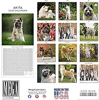 Vista 509 de Razas de Perros 2017