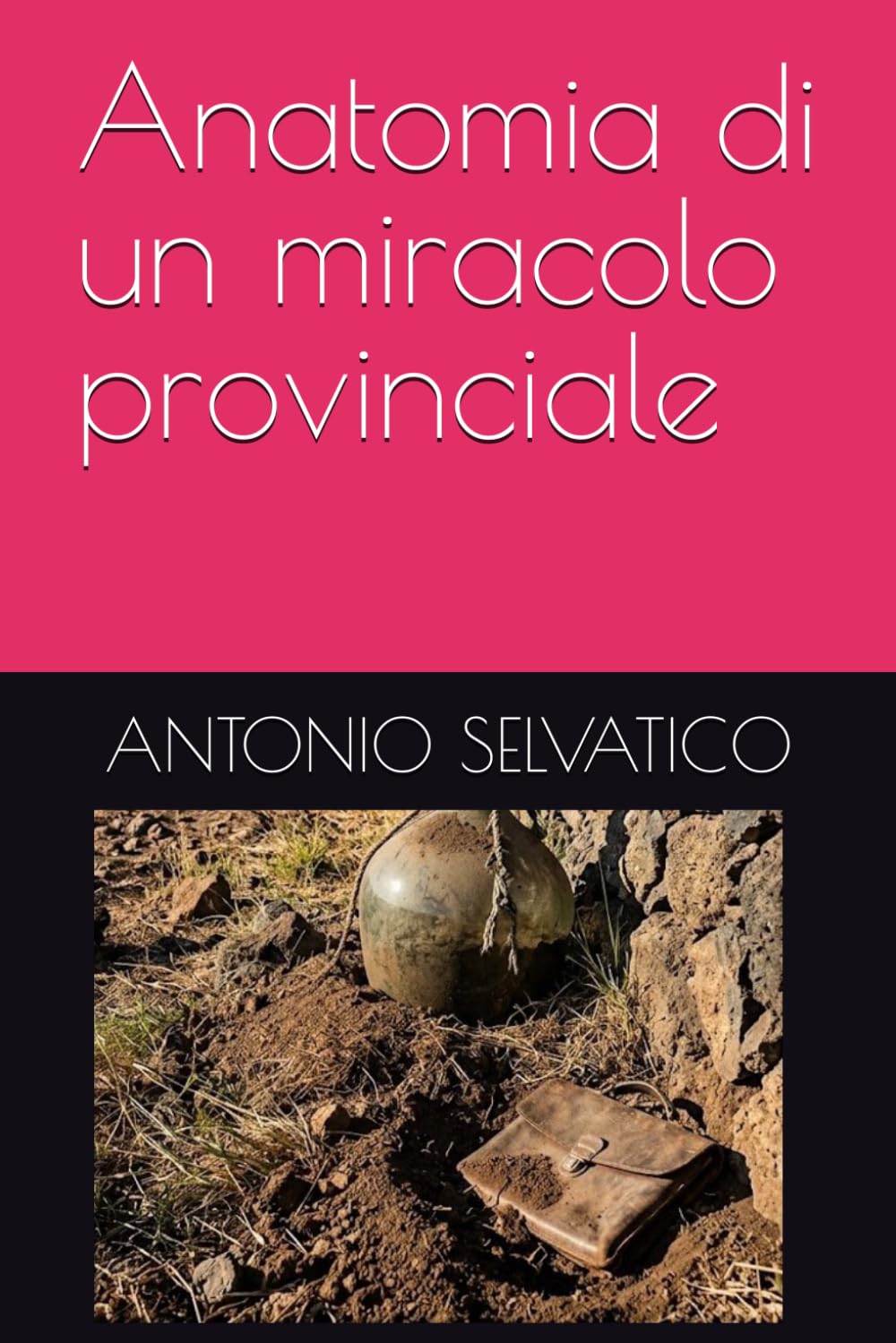 Anatomia di un miracolo provinciale