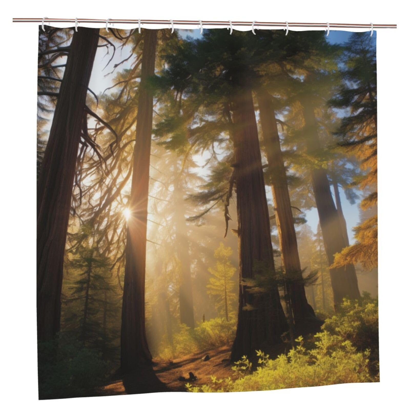 BWWHCCTI National Parks Sunshine Trees Printed Shower Curtain With 12 Plastic Hooks Opaque Quick Drying Waterproof Shower Curtains Sets For Bathroom 183x183 CM