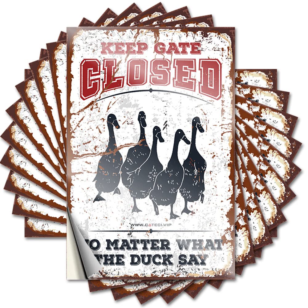 Saying Patio Bar Accessories Peel and Stick - Keep Gate Closed No Matter What The Duck Say Case Cats Waterproof Vinyl for Science(6X9CM)