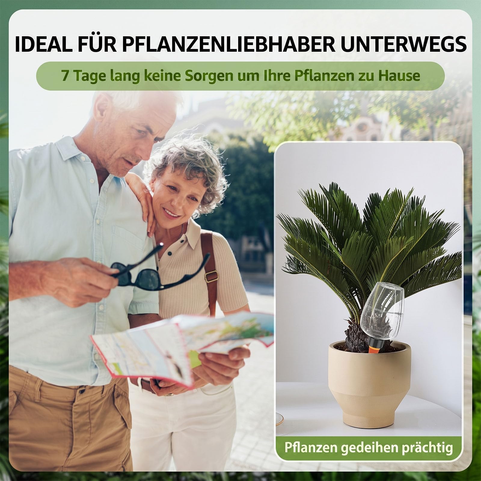 Lot de 4/8 boules d'irrigation automatique pour plantes, 350 ml, système d'irrigation des plantes, auto-arrosage pour l'intérieur, le balcon et l'extérieur (8 pièces, transparent)