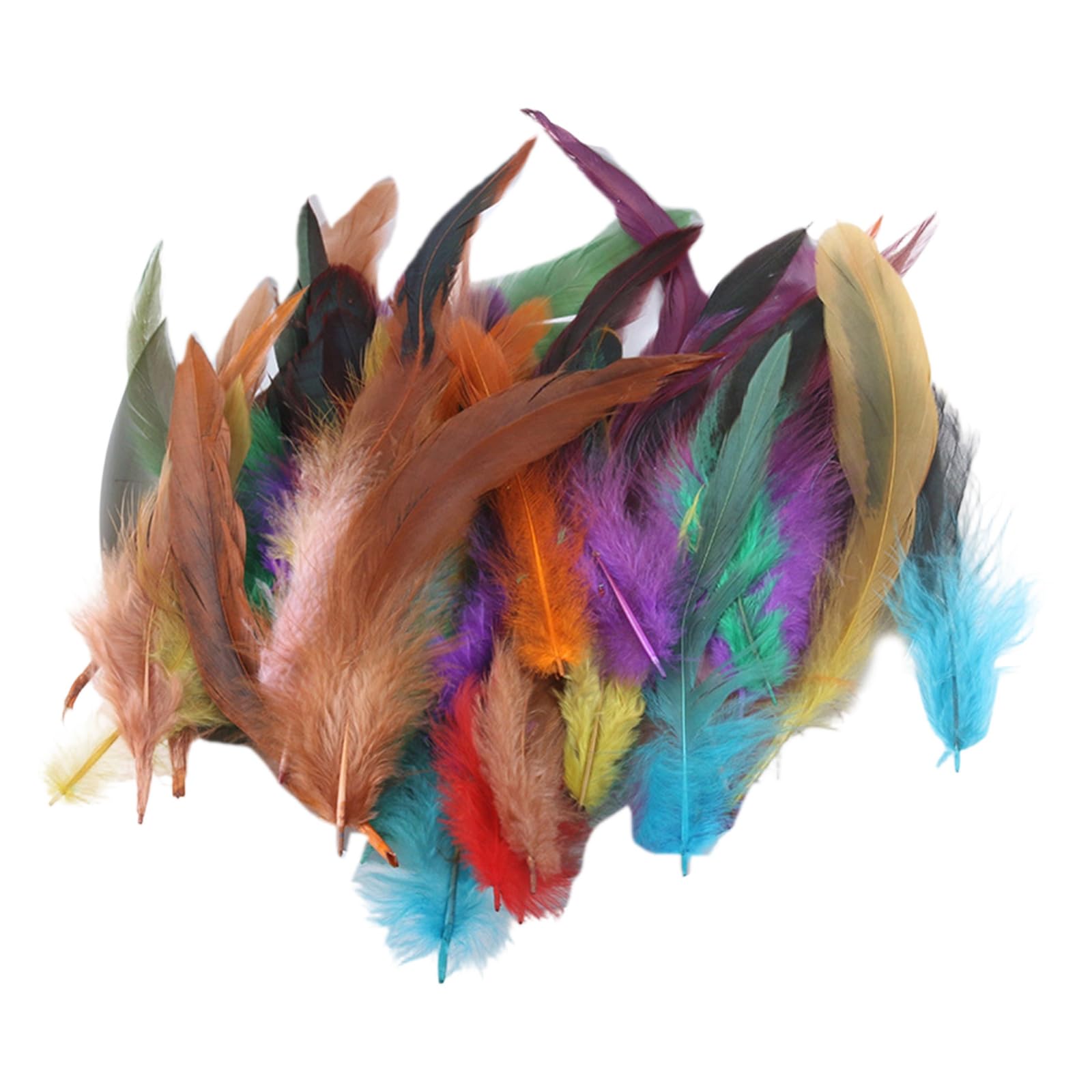 yanzunlrn 100PCS Delicate Plumage Embellishments for Creative Art Projects Suitable for Clothing Jewelry and Scrapbooking Quills for Crafting