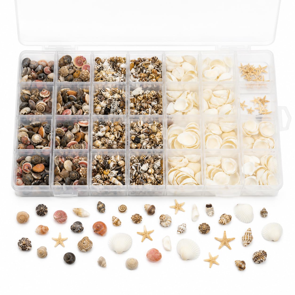 1200PCS Mini Sea Shells and Starfish for Crafts, Natural Seashells Bulk