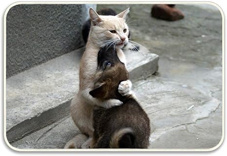 Amazon 玄関 マット猫犬ハグ動物 バスマット 足ふきマット 速乾 吸水 抗菌 防カビ ふわふわ 丸洗い 廊下 洗面台 寝室 屋内 室内 風呂 浴室 滑り止め バスマット 40cm 60cm 玄関マット オンライン通販