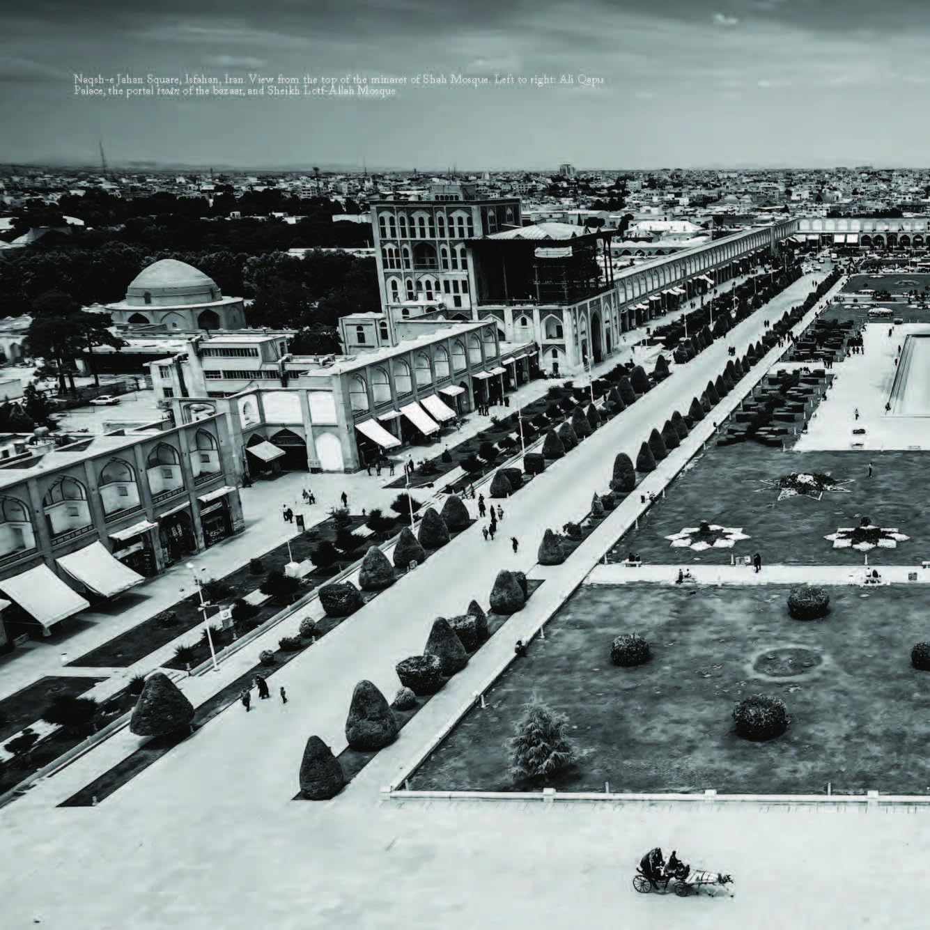 Iranian Architecture /anglais
