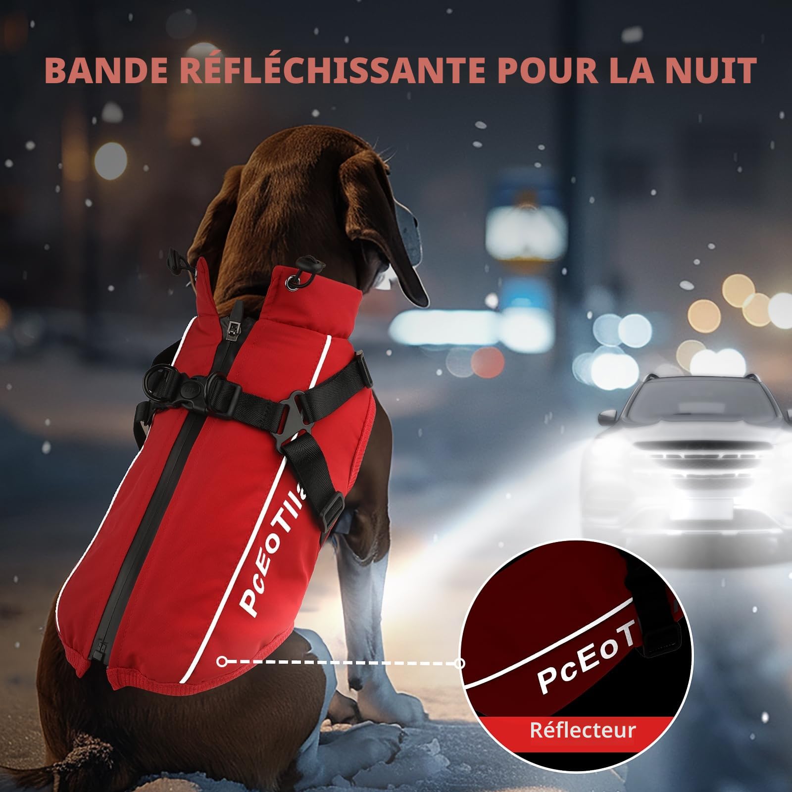 PcEoTllar Manteau imperméable pour Chien de Petite Taille, Veste Chaude réfléchissante avec Harnais pour l'hiver, Costume de Ski, Pull pour Chien, en Coton, Rouge, Taille M