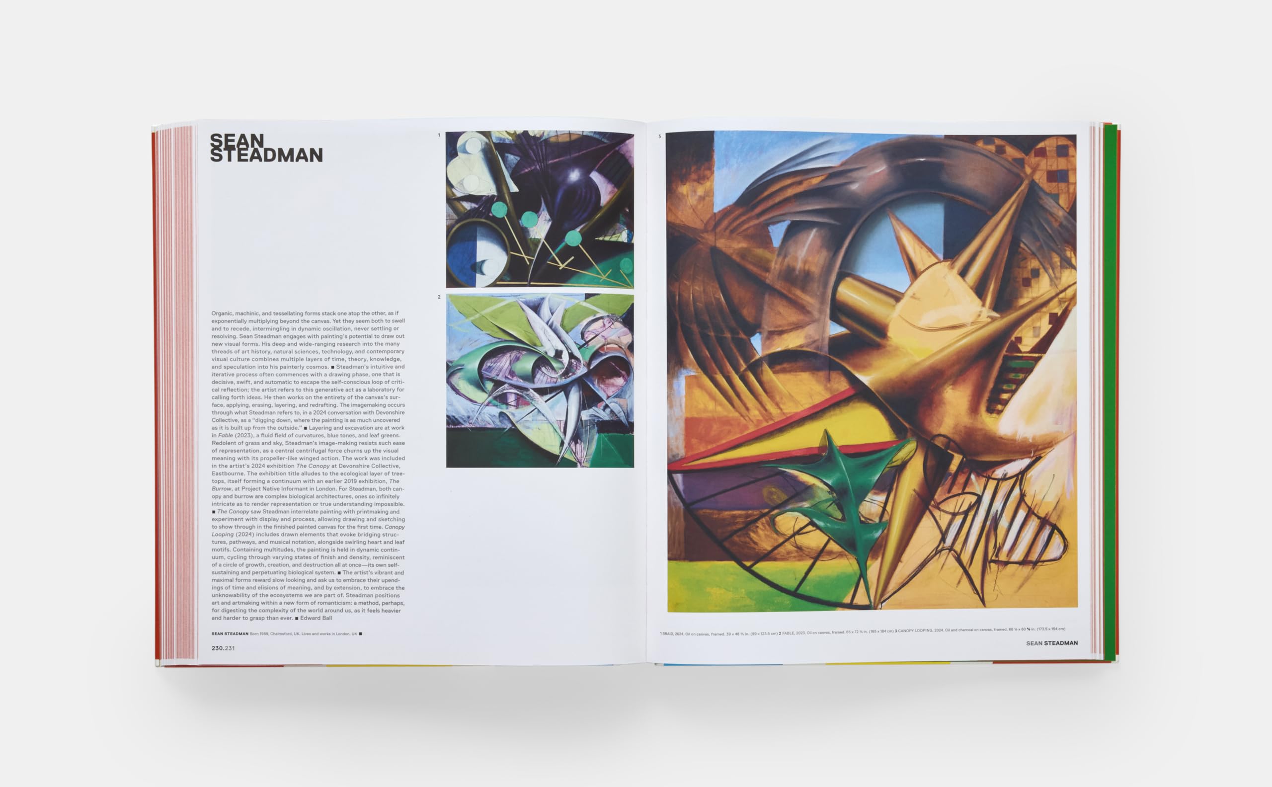 Vitamin P4: New Perspectives in Painting (ART)