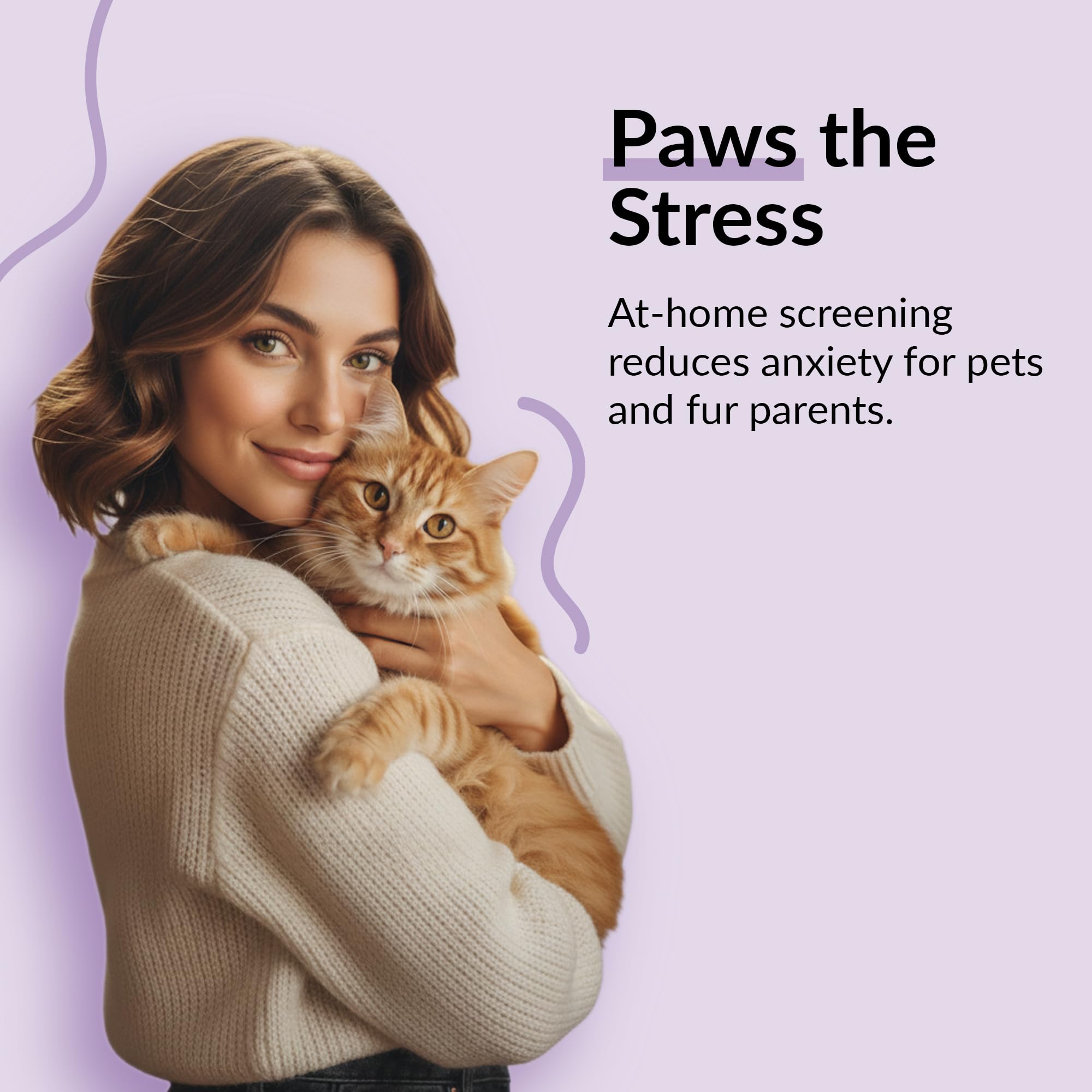 getTested Virus-Kombotest für Katzen (FIV und FeLV), Heimtest, Schnell-Antigen-Testkit für Kätzchen und Katzen, einfache Blutscreening-Lösung, schnelle und genaue Ergebnisse in 10 Minuten