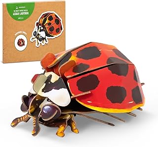 MAKEBUG Early Educational Toys and Games, Eco-Friendly STEM Activities and 3D Paper Puzzles for Autistic Kids-Ladybug (Ages 7 and up)