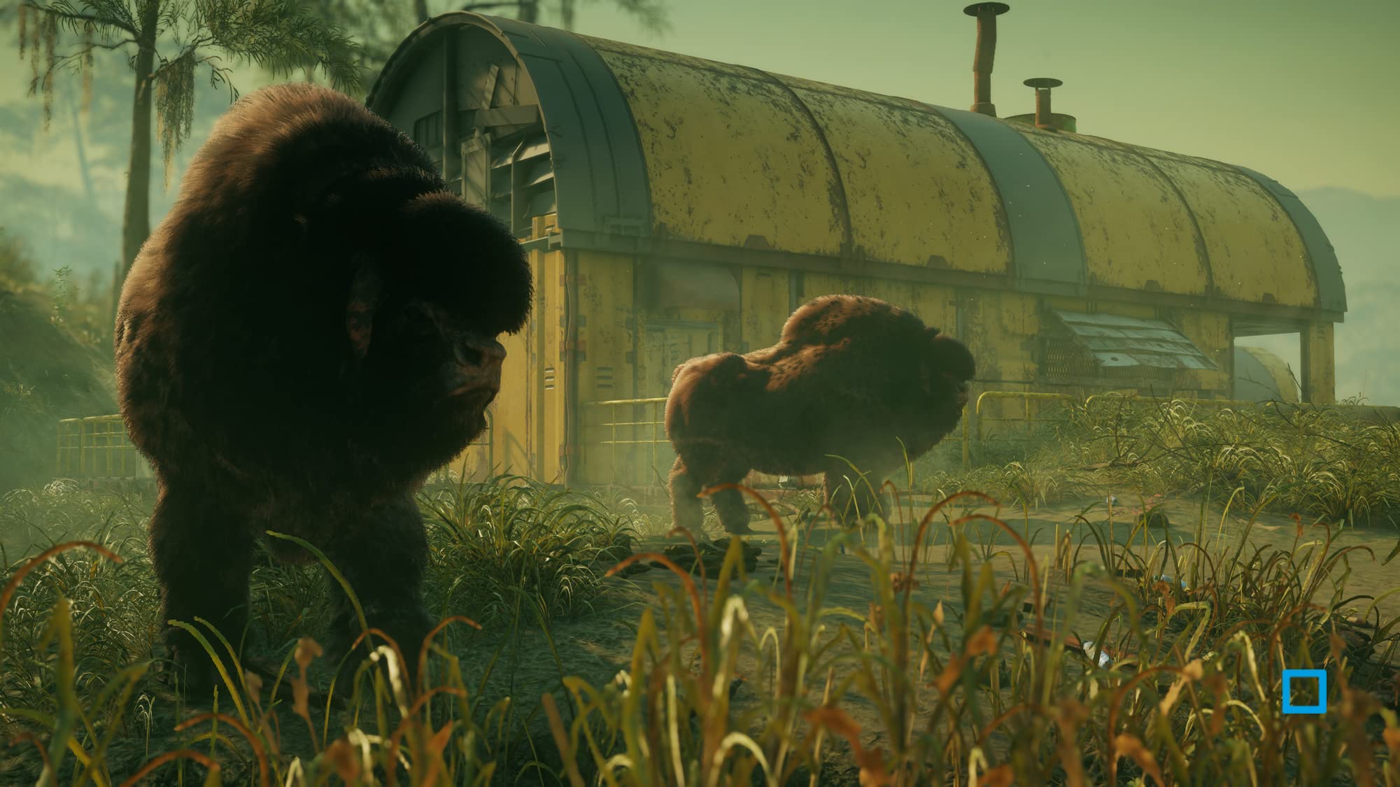 Rage 2 Ps4 Ben [Edizione: Francia]