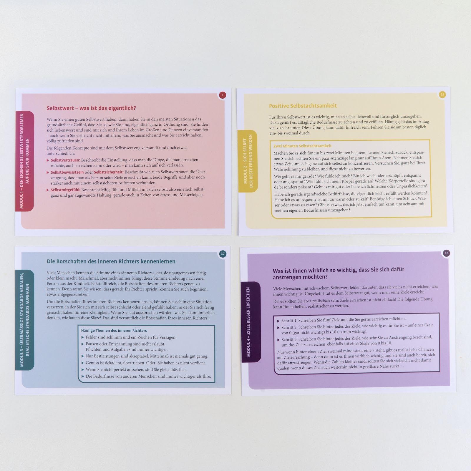 Selbstwert: 75 Therapiekarten. Kartenset mit 75 Karten in stabiler Box, mit 24-seitigem Booklet. Kartenformat 16,5 x 24 cm. (Beltz Therapiekarten)