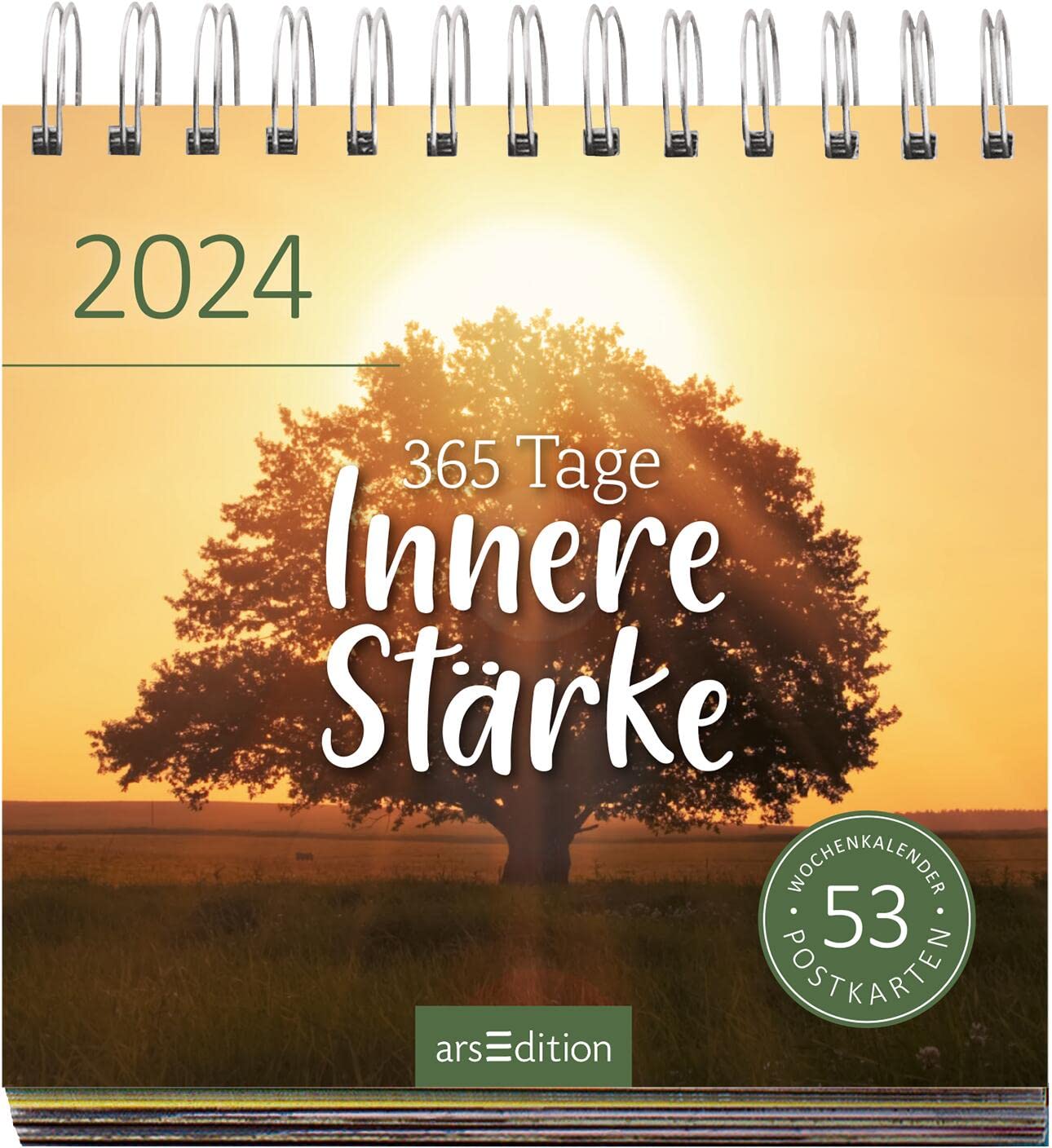 Display Postkartenkalender 2024: Mit 20 x 3 Ex. | Wochenkalender 2024, 53 Postkarten zum Abtrennen und Verschicken
