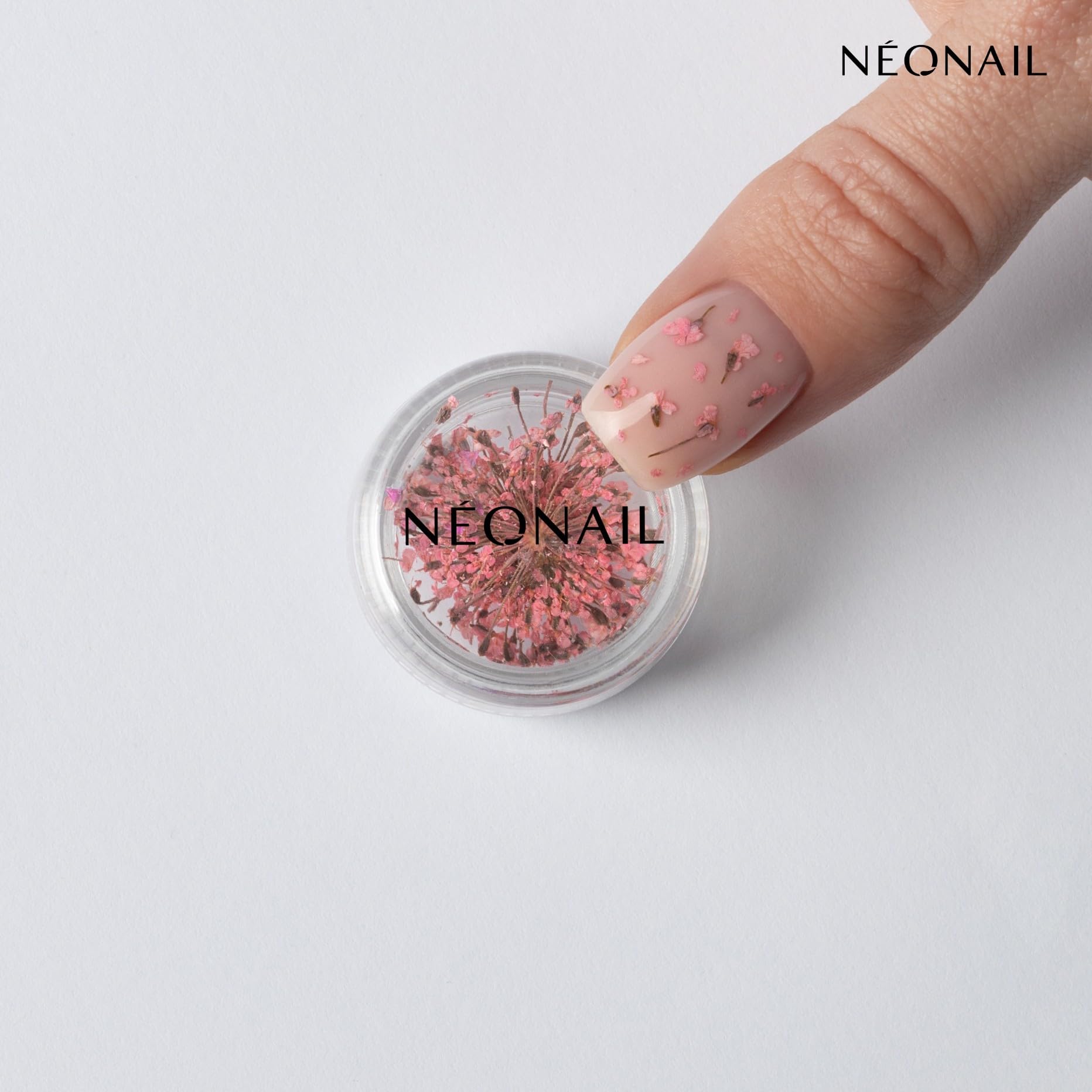 NEONAIL Fleurs Séchées - Set de décoration d'ongles - Nail Art Ongles - Deco Ongle Nail Art - Accessoire Ongle - 3 couleurs - rose, violet, orange