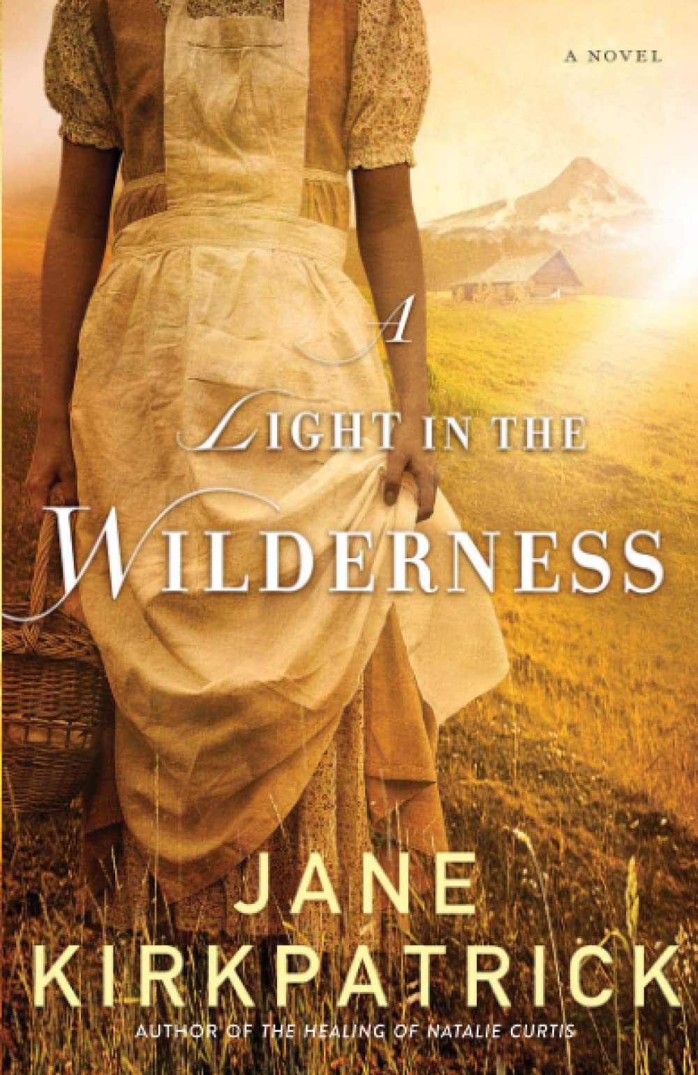 A Light in the Wilderness - A Novel