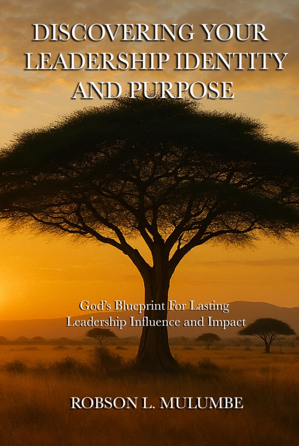 Discovering Your Leadership Identity And Purpose: God's Blueprint For Lasting Leadership Influence And Impact