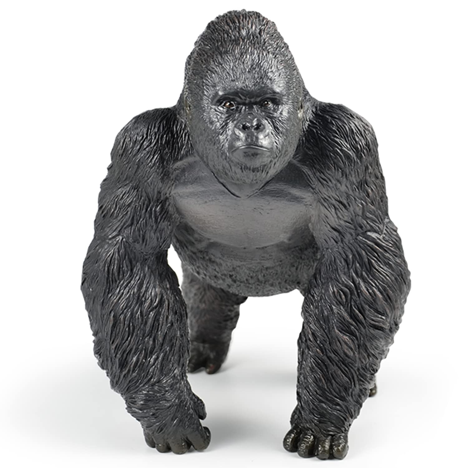 The Unexpected Winner: Gorilla Vs. Orangutan Strength Battle - o8ksvg8