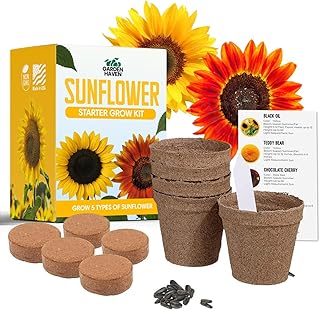 Sunflower Seed Growing Kit