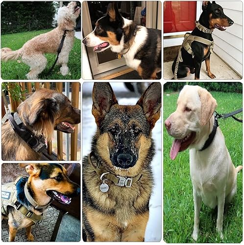 Miniatura 8 de Collar táctico para perro, resistente, ajustable, personalizado con asa y hebilla de metal para entrenamiento de policía militar, color negro (XL-L)