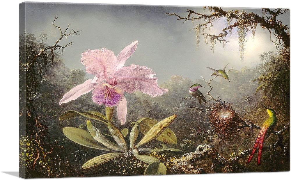 サイズ42 Amazon.com: ARTCANVAS Cattleya Orchid and Three Hummingbirds 1871