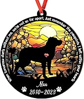 Vista 114 de Adorno personalizado para atrapasoles Bichon Frise, Bichon Frise Sun Catcher Adorno de Navidad – Regalo para perro amante, Bichon Frise 3D 2 capas