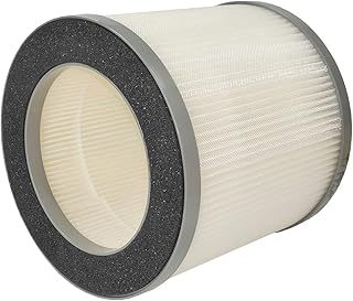H13 True HEPA filter for toppin air purifier replacement filter, Compatible with TOPPIN HEPA air purifier TPAP002 / TOPPIN Comfy Air C1, 1PCS