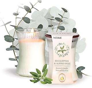 2pcs Eucalyptus & Alpine Sage Scented Candles, 7.05oz 50 Hours Burn, Candles for Home Scented, Natural Soy Candle Non Toxic, Eucalyptus Decorative Candle for Home Decor, Gifts