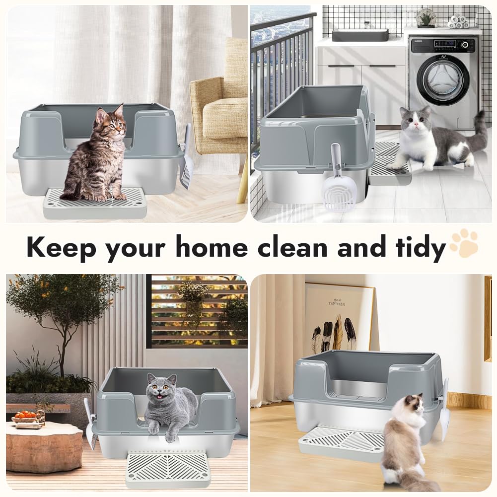 https://m.media-amazon.com/images/I/719EXeDY-oL.jpg