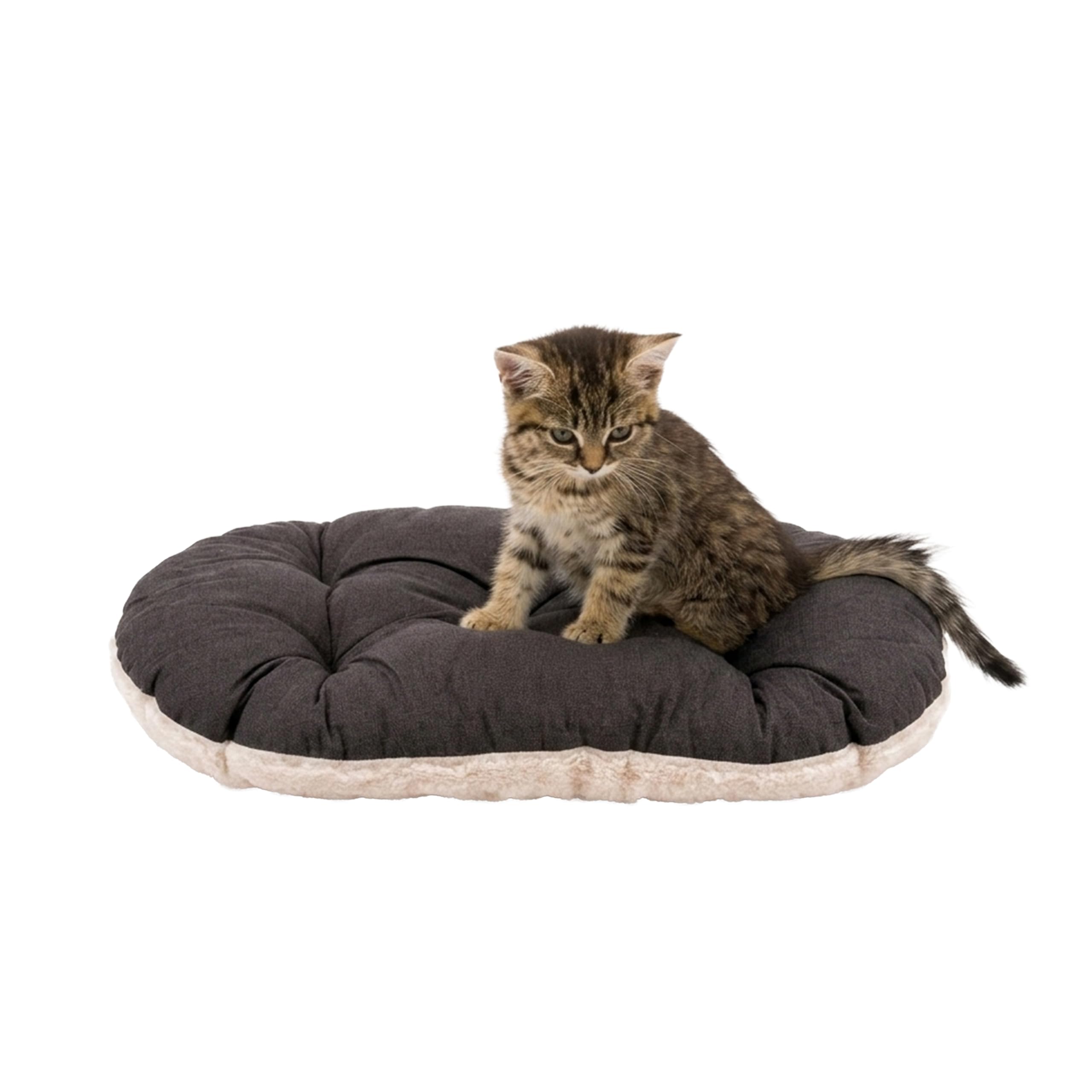Ferplast Cama para Perros y Gatos Muy pequeños Cojín Colchón Colchoneta para perreras y Coches - Relax, 43 x 30 CM, Marrón y Blanco