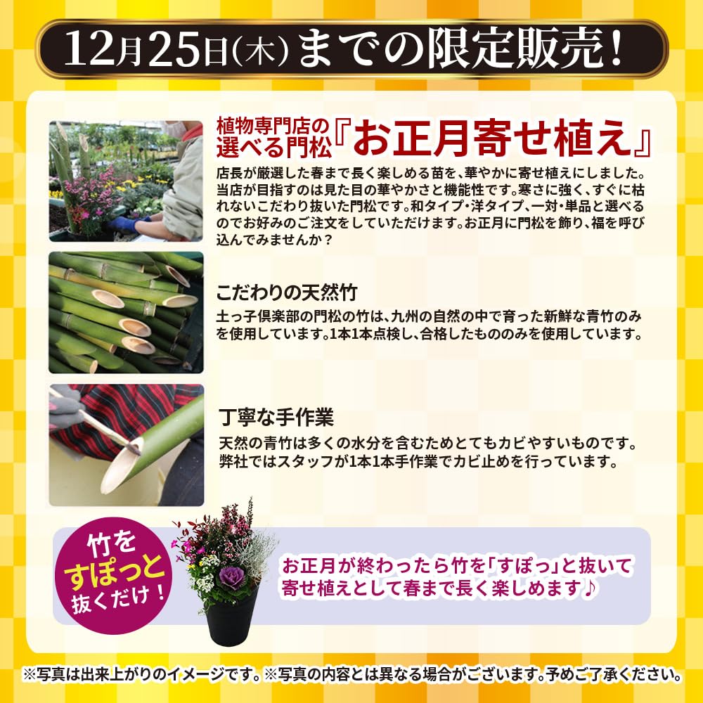 Amazon.co.jp: 正月飾り 門松『 お正月寄せ植え 』 単品1個（正月飾り