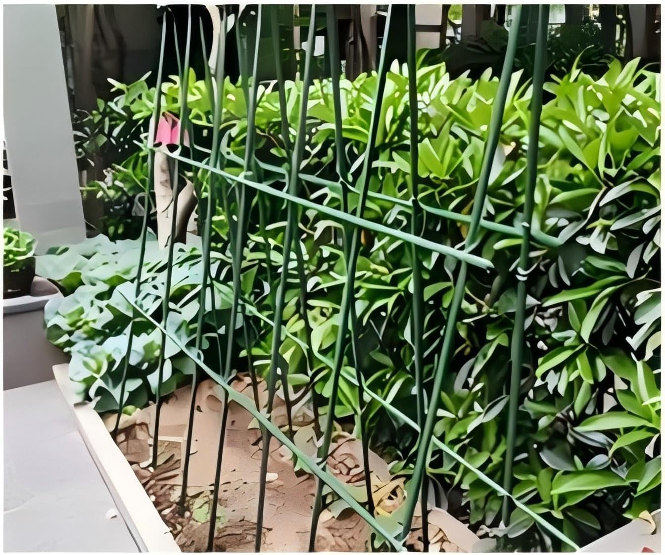 Steel Plant Stakes 4 Feet, Garden Plant Stakes 48 Inch,25 Pack Tomato Stakes for Growing Climbing Plants, Potted Plants, Tomatoes, Trees, Cucumber, Beans, Fences Poles