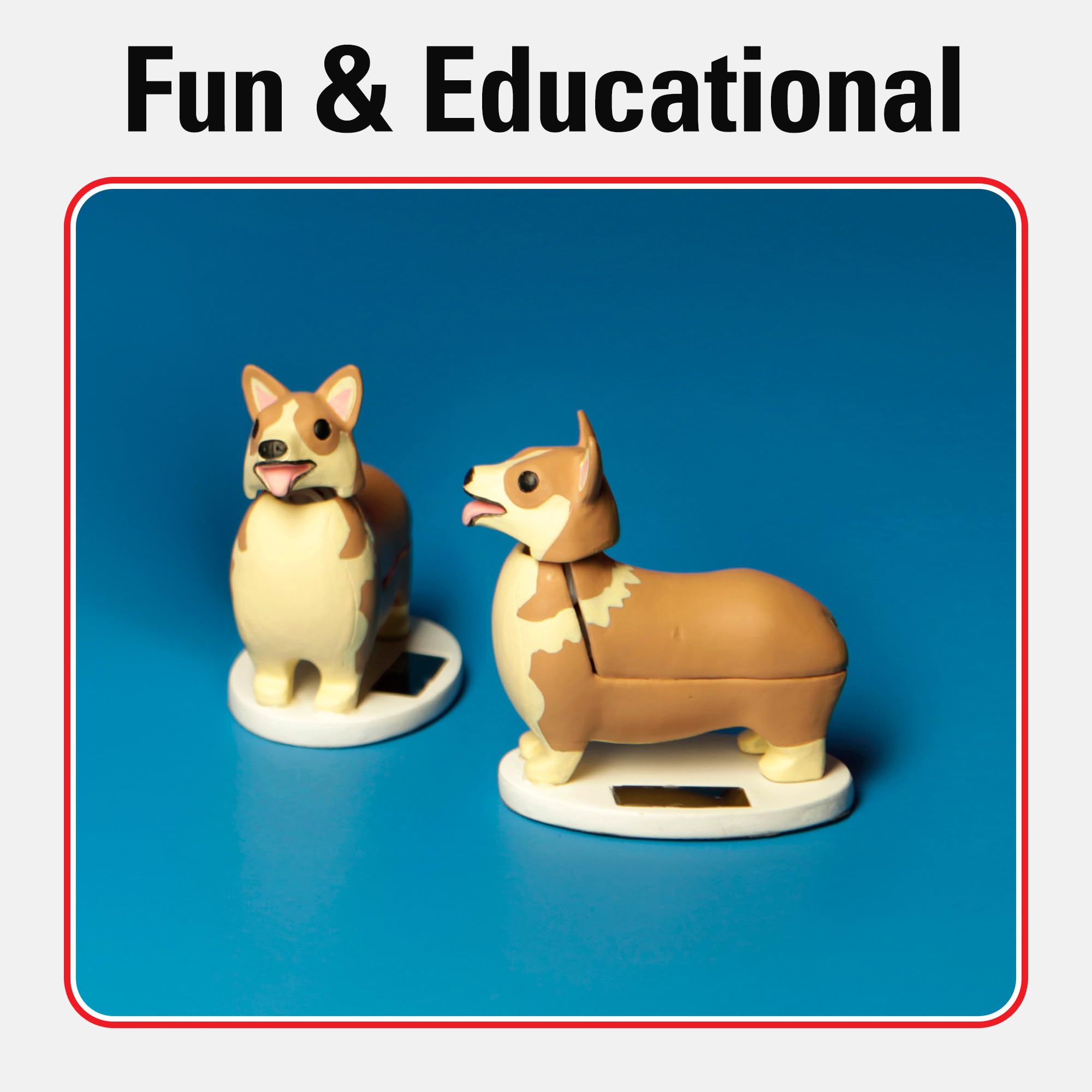 Amazon.com: Kikkerland Solar Powered Corgi Dog Figurine: Fun