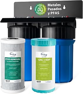 iSpring WGB21B-PFKS Filtro de Agua para Toda la Casa PFAS y Metales Pesados, Probado por SGS para Reducir 99% de PFAS, Elimina Plomo, Metales Pesados, Cloro, Sedimentos y Olor, Entrada/Salida de 1"
