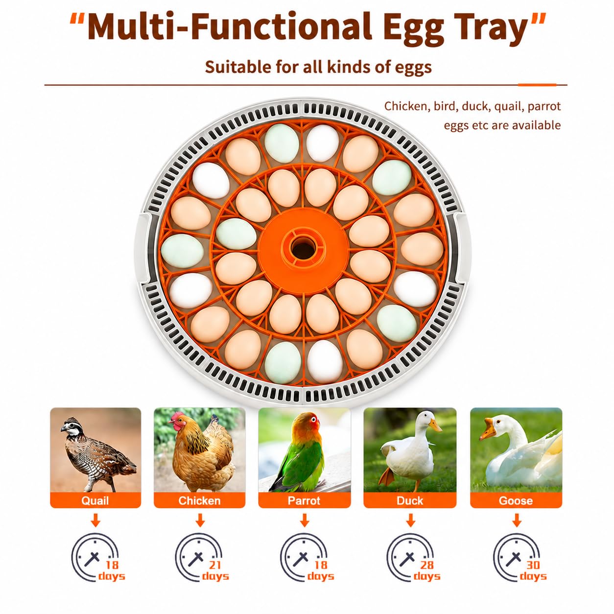 30 Egg Incubator with Automatic Egg Turning, Temperature Control and Humidity Monitor Incubators for Hatching Eggs, Chicken, Ducks, Goose, Pigeon, Quail, Parrot Incubator for Farm, Lab