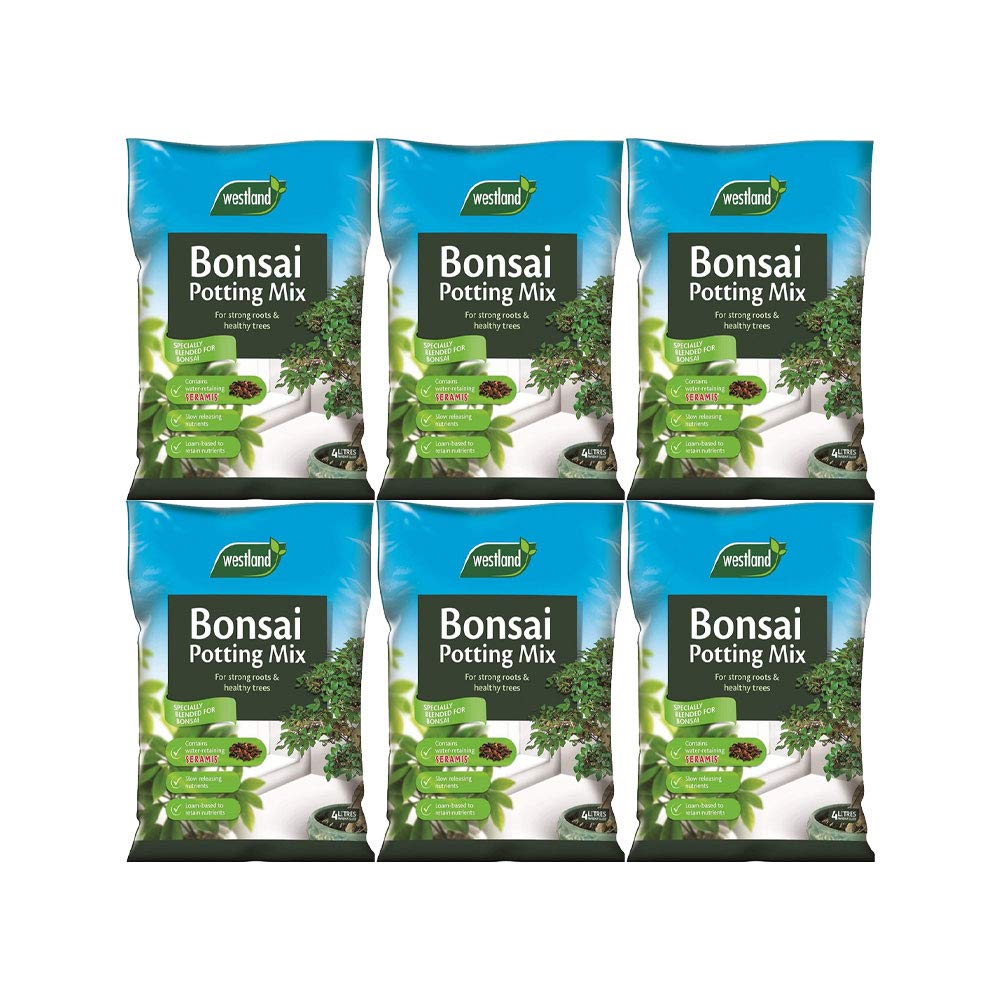 Garden & Outdoors Westland Bonsai-Blumenerde, Mischung und Angereichert mit Seramis, 4 Liter, 6 Stück