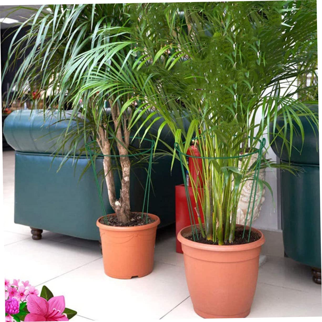 6 Piezas De Estacas De Soporte para Plantas Soporte para Plantas Soporte para Plantas Soporte para Plantas Semicircular Soporte para Plantas En Maceta Accesorio De Jardín