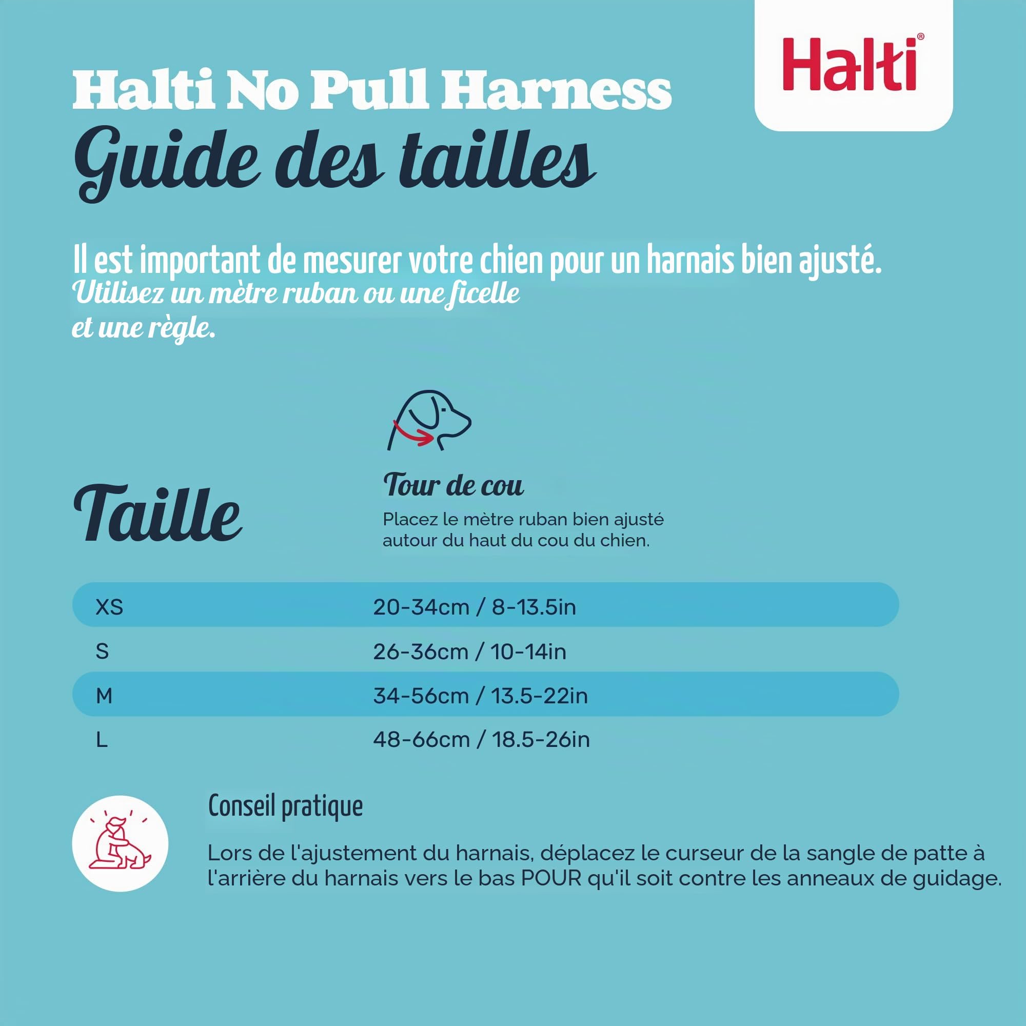 HALTI Harnais anti-traction Taille M & HALTI Laisse d'entraînement Taille L Noir Pack combiné – Empêche votre chien de tirer sur la laisse. Réglable, léger et facile à utiliser. Convient aux chiens de
