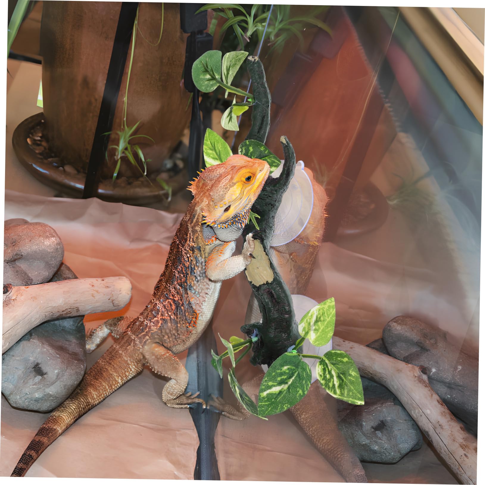 SUPVOX Climbing Reptile Branches Reptile Tank Decor Corner Branches for Bearded Dragon Snake Enclosure Accessories